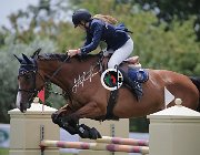 Gresele Trust in me CsioArJYR SS7 7421 : CSIO Giovani Arezzo, Gresele Bianca, Trust in me, foto Stefano Secchi ©